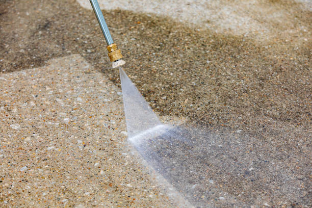 Best Driveway Pressure Washing  in Juno Beach, FL